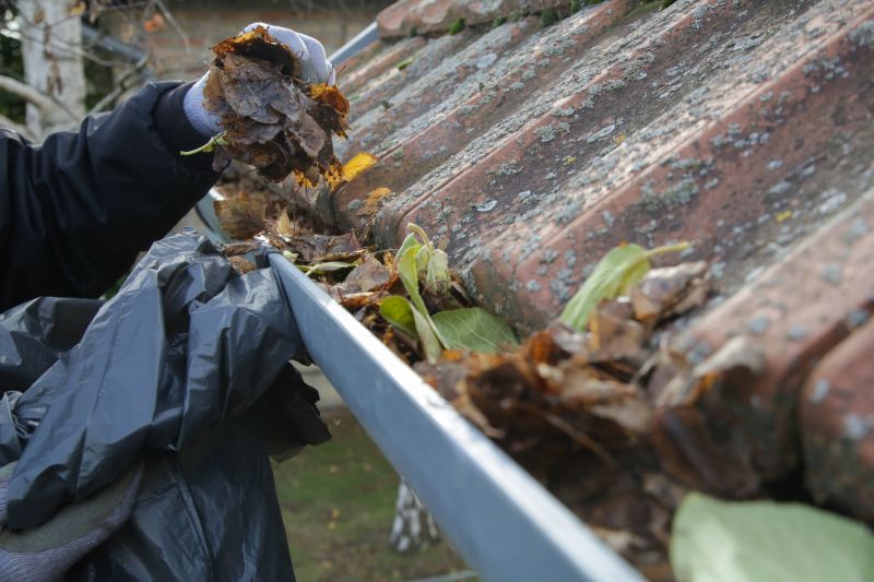 Gutter Maintenance Services